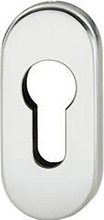 Immagine prodotto FSB Rosone a chiave 17 1757 in acciaio inox 6204 ovale cieco (Maniglia della porta)