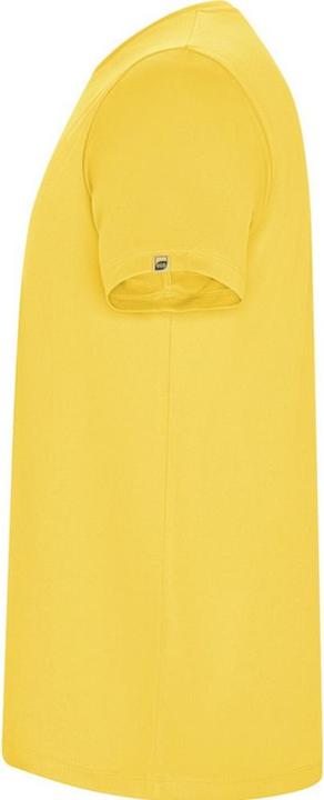 Actual product image Alpinia Mens Imola Short-Sleeved Sports T-Shirt (S)