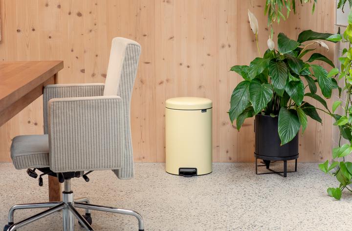 Image du produit Brabantia newIcon (12 l)