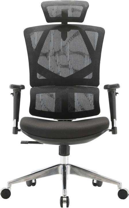 Image du produit Sihoo Chaise de bureau avec soutien lombaire