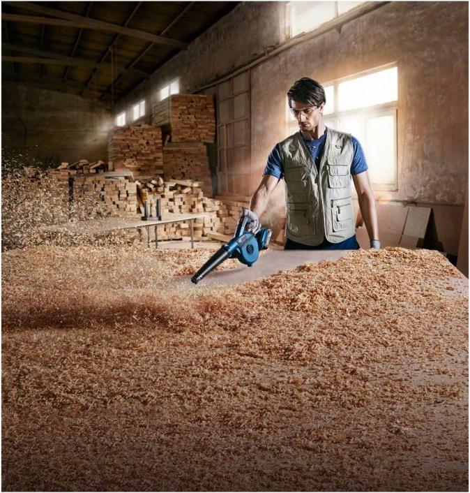 Image du produit Bosch Professional GBL 18V-120 (Fonctionnement sur batterie, Souffleurs d'atelier)
