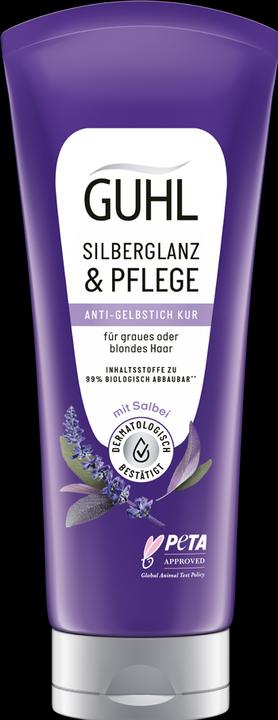 Produktbild Guhl Silberglanz & Pflege (200 ml)