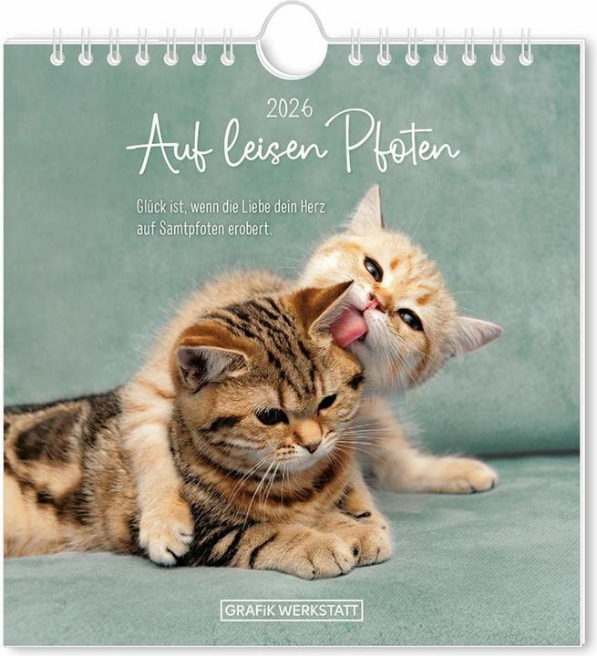 Immagine prodotto Postkartenkalender 2026 Auf leisen Pfot (16 x 17 cm, Tedesco)