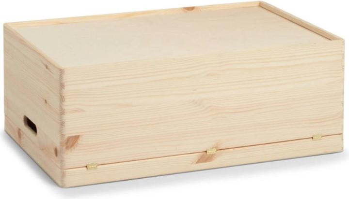 Zeller Present Allzweckkiste (60 x 40 x 24 cm, 57.50 l)