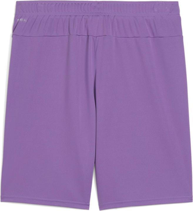 Actual product image Puma teamGOAL shorts (M)