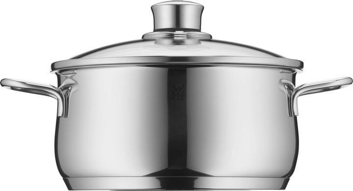 Kochtopf Bratentopf Induktion 24cm Glasdeckel 4,5l Diadem Plus Edelstahl (24 cm, Bräter + Schmortopf, Edelstahl)