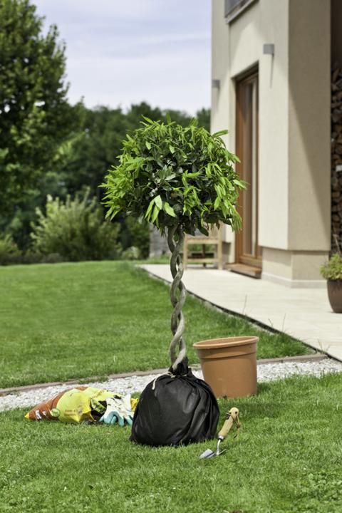 Immagine prodotto Windhager Vello di separazione per vasi
