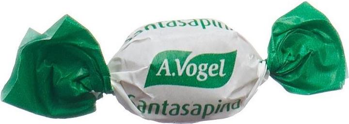 Immagine prodotto A. Vogel Santasapina (1 pz., 100 g)
