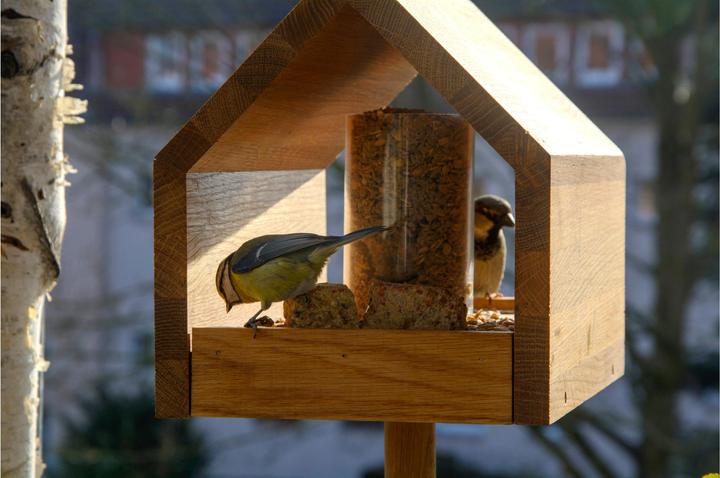 Produktbild Luxus-Vogelhaus Bauhaus I