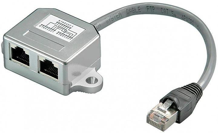 Max Hauri Netzwerkkabel