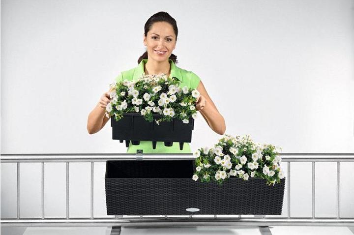 Image du produit Lechuza Balconera Cottage (19 cm)
