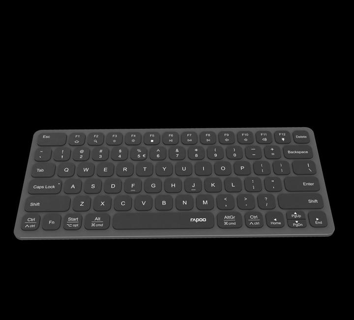 Productafbeelding Rapoo Toetsenbord Met USB-C Adapter Nl (NL, Bedraad)