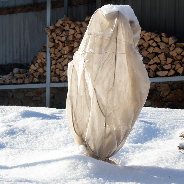 Produktbild Toboli 2x Winterschutz Pflanzen 80x100cm 70g/m² Frostschutz Vlies Schutzhaube