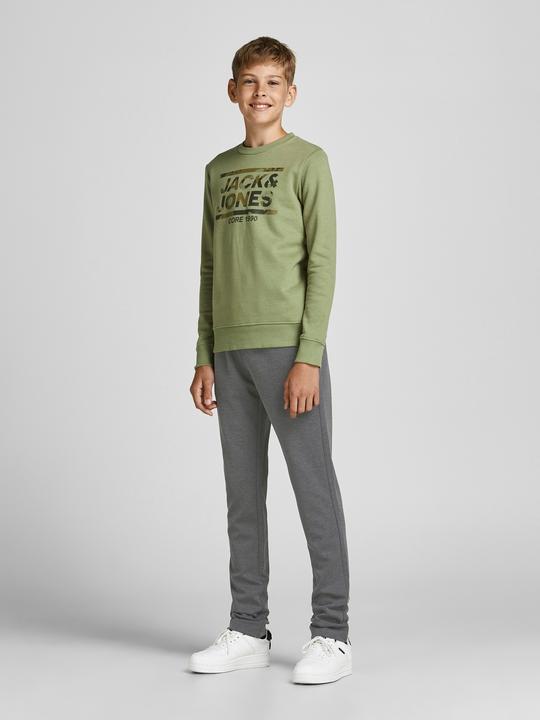 Image du produit Jack & Jones Jungs Vega Trash Hose (140)