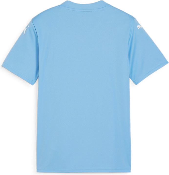 Actual product image Puma teamGLORY Jersey Jr (164)