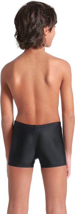 Actual product image Arena B Kikko V Swim Short Graphic (164)