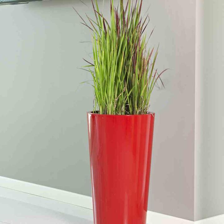 Immagine prodotto Euro3plast Tuit (33 cm)