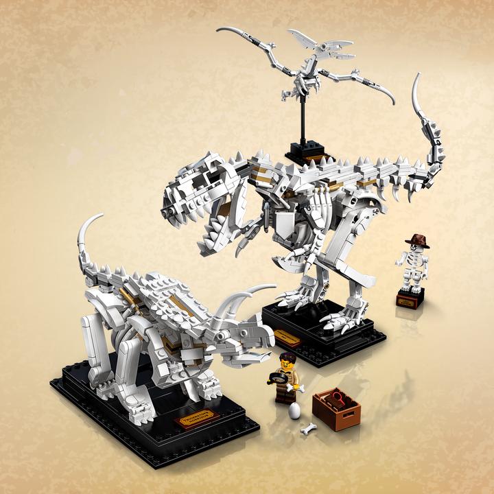 Immagine prodotto LEGO Fossili di dinosauro (21320, LEGO Ideas)