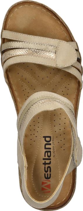 Immagine prodotto Westland 36603-82 (39)