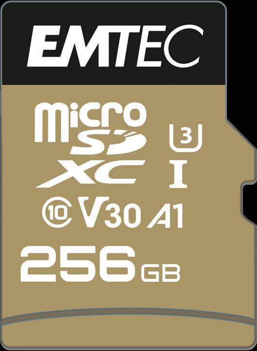 Emtec SpeedIN Pro (256 GB, microSDXC, U3, UHS-I)