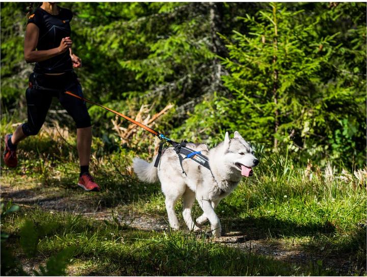 Produktbild Non-Stop Dogwear Freemotion Harness (10, Hund, Allgemein)