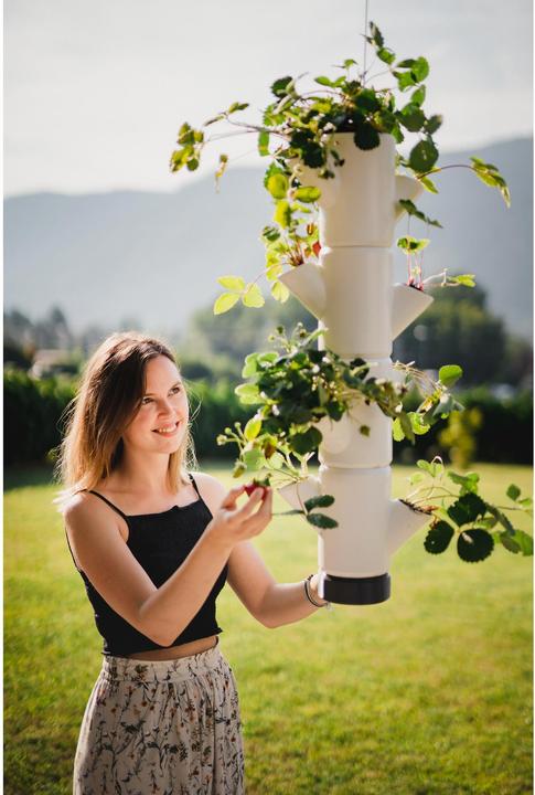 Immagine prodotto Gusta Garden Sissi Fragola (48 cm)