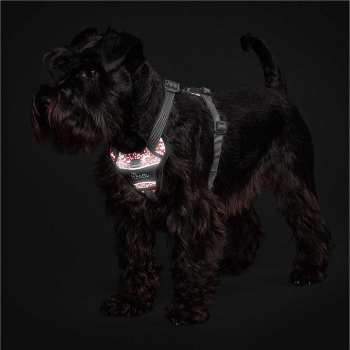 Image du produit Hunter Harnais Divo Reflect nylonpolyester (XS, Chien, Général)