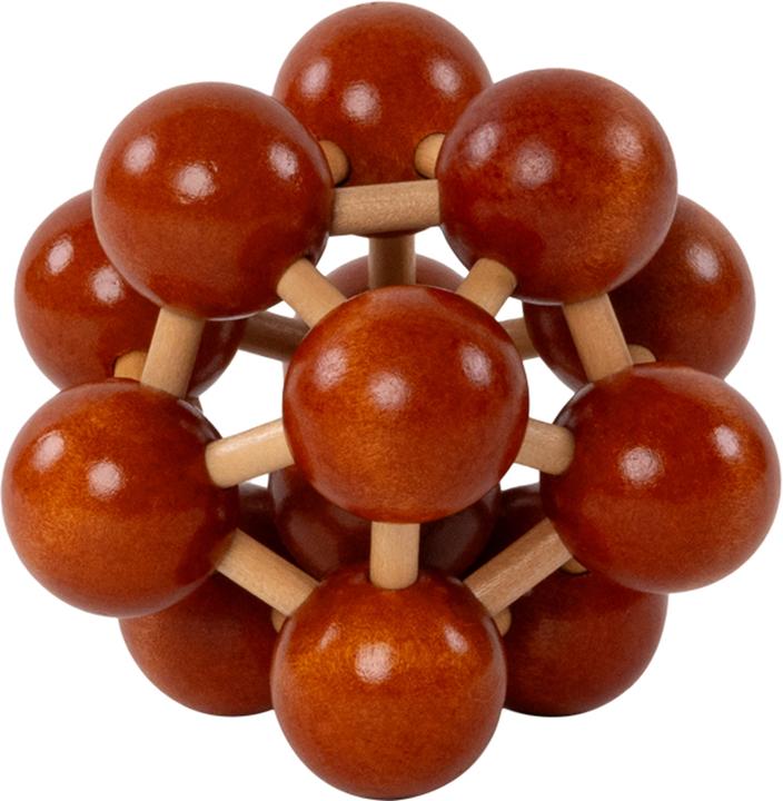 Produktbild Recent Toys Brain Puzzle Nr.1 Frontal Lobe (Deutsch)