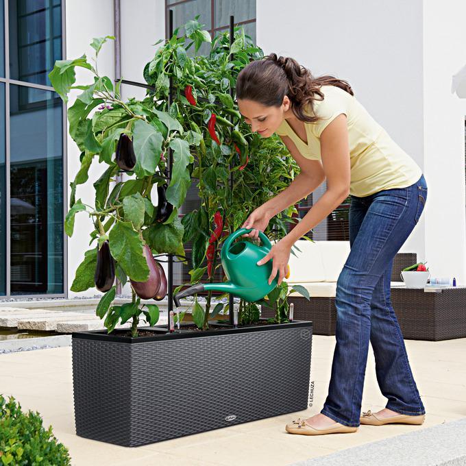 Produktbild Lechuza Trio Cottage (32 cm)