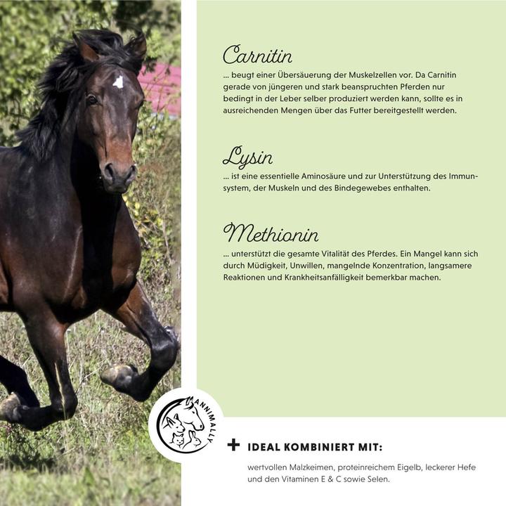 Image du produit Annimally Poudre de puissance musculaire (700 g)