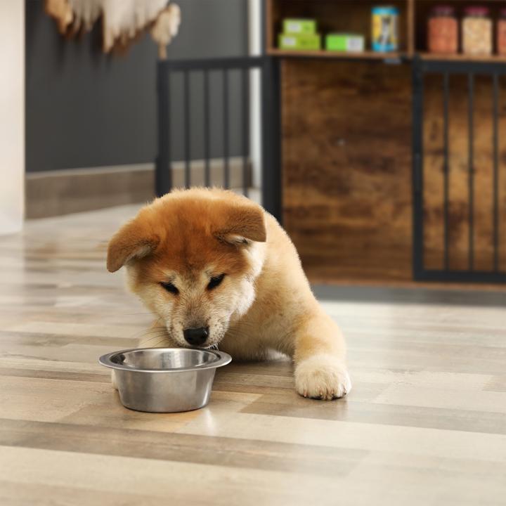 Actual product image Relaxdays Dog cage (Dog house)