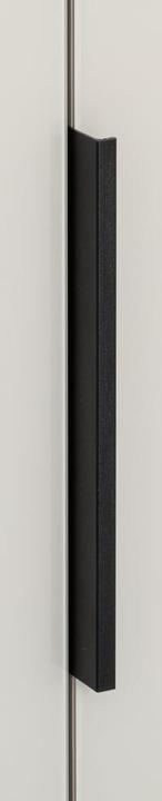 Actual product image Johann Jakob Diana (59 x 197 cm)