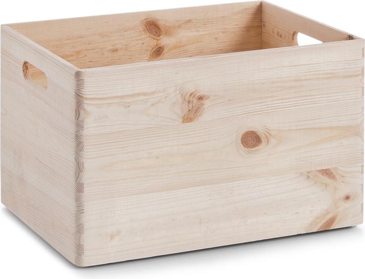 Zeller Present Allzweckkiste (40 x 30 x 24 cm, 29 l)
