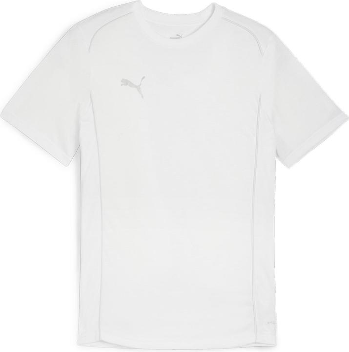 pumawhitepumasilver