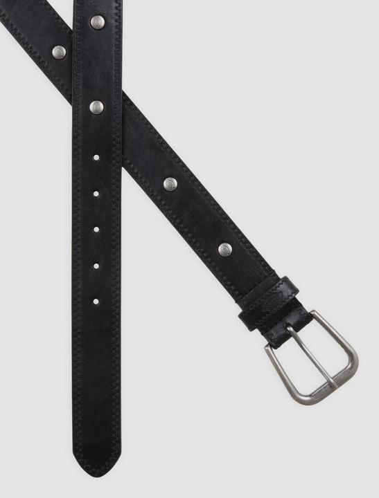 Actual product image Dickies Studded Belt (XL)