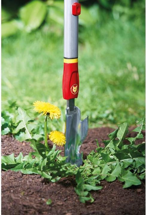 Image du produit Wolf-Garten iW-M Coupe-chardon
