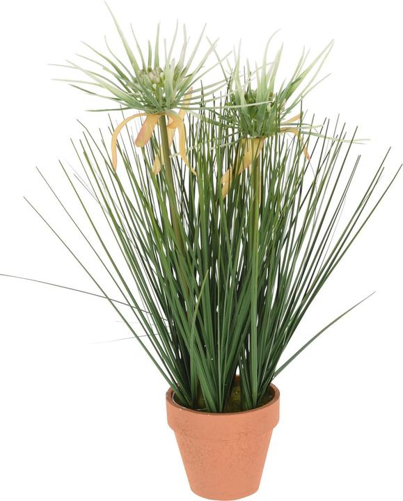 Immagine prodotto Casativo Erba decorativa in un vaso chic (41 cm)
