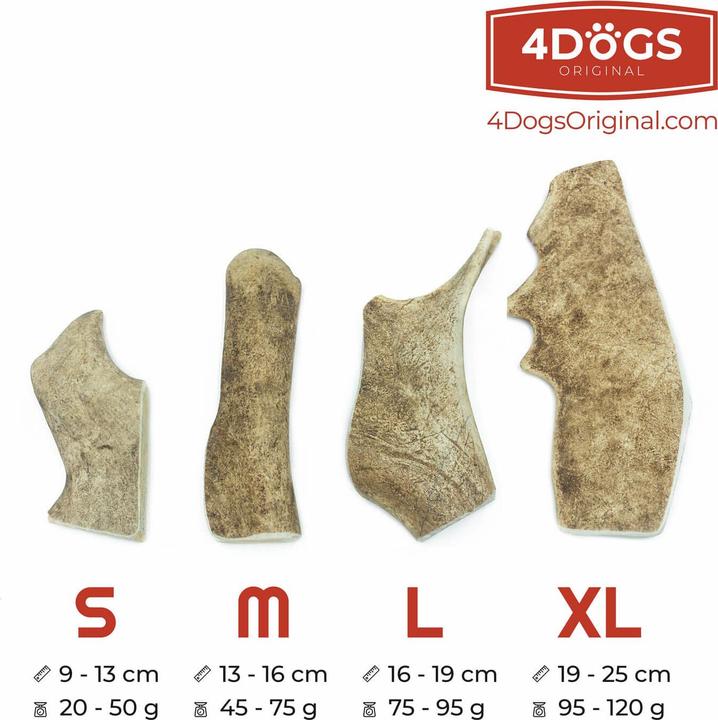 Actual product image 4Dogs Original 4DOGS - Fallow deer antlers (hard) - S