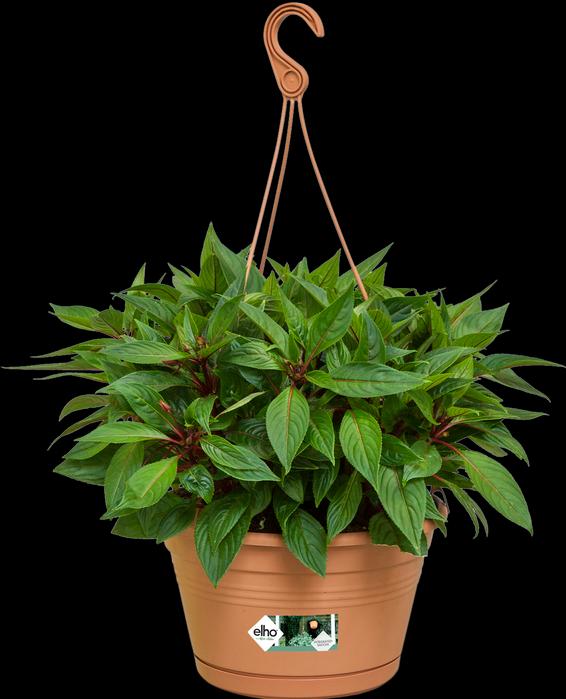 Produktbild Elho Green Basics Hängeampel (27.80 cm)