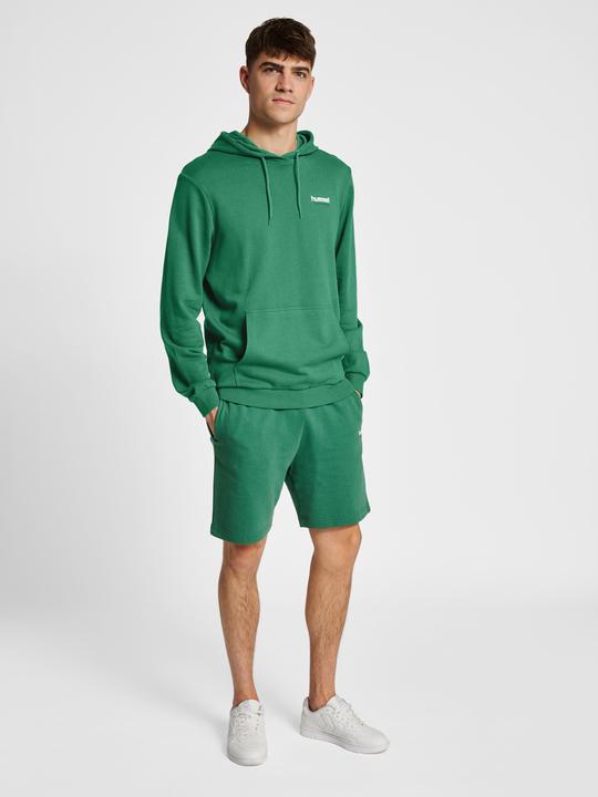 Actual product image hummel hmlLGC GABE HOODIE (L)