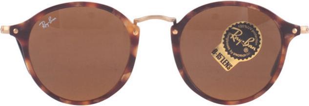 Actual product image Ray Ban Rb2447