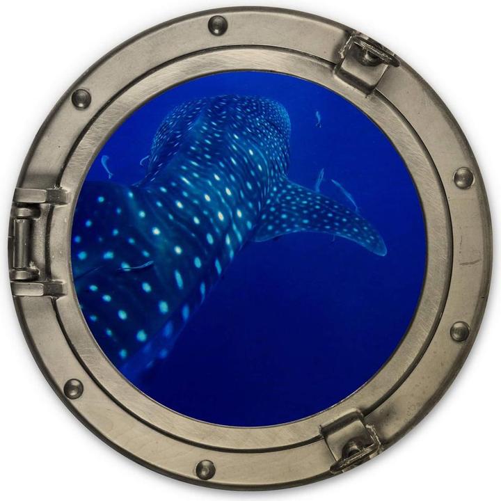 Actual product image Trenddeko 3D optics porthole - The whale shark (Ø 45 cm)