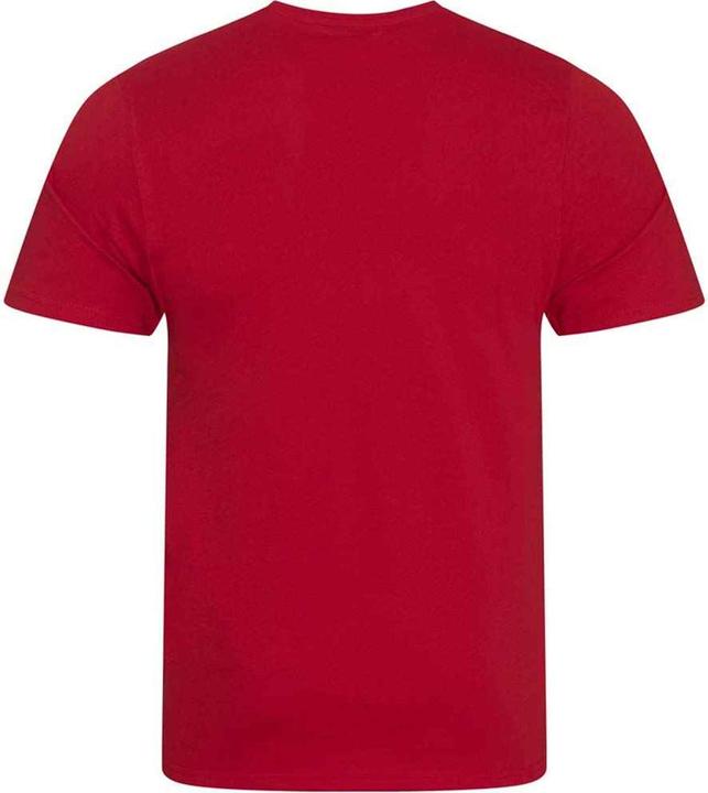 Actual product image Awdis Mens Cascade Ecologie Organic T-Shirt (XXL)