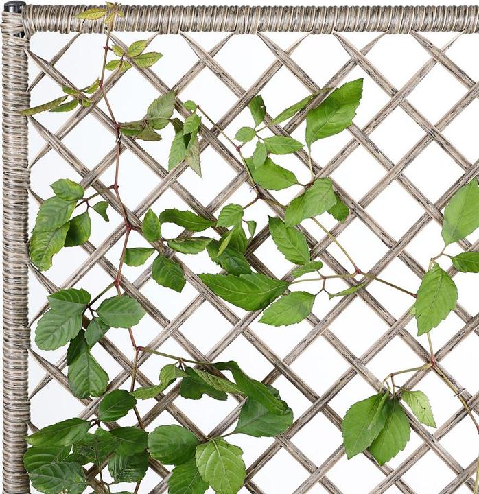 Image du produit Casaria Jardinière (64 cm)