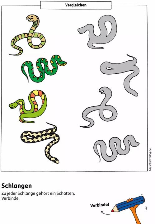 Actual product image Vorschulblock - Konzentration und Wahrnehmung (German, Sabine Dengl, Linda Bayerl, 2015)