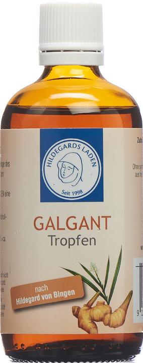 Hildegards Laden Galgant Tropfen Tropfen (100 Stück, Tropfen, 109 g)