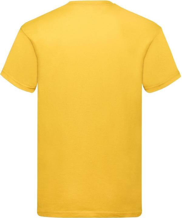 Actual product image Fruit of the Loom Mens Original T-Shirt (L)