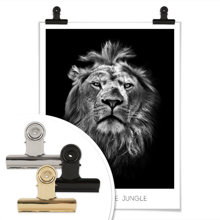 Produktbild Trenddeko Lion - King of the Jungle (100 x 120 cm)