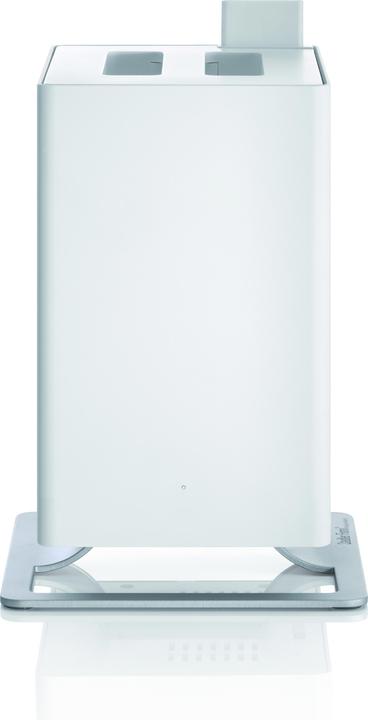 Actual product image Stadler Form Anton (25 m²)