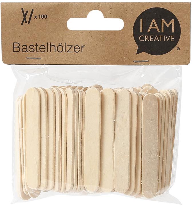 Actual product image I Am Creative craft sticks